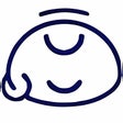 Ikon program: GipsyBot extension