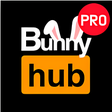 程序图标：Bunny Hub PRO