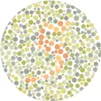 Color Blindness Simulator