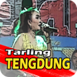 Programikonen: Tarling Tengdung Citra Na…