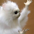 Ícone do programa: Broken Animal Meme Sticke…
