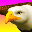 Icône du programme : Eagle Ride