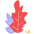 Icon of program: All News