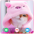 Icon of program: Cat Fake Video Call : Fak…