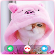 程序图标：Cat Fake Video Call : Fak…