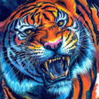 程序图标：tiger background