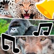 أيقونة البرنامج: Animal Ringtones  Sounds