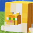 Programikonen: garfield skin