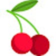 程序图标：CherryTab