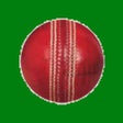 Programın simgesi: CricketCounter