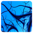 Icoon van programma: Free fractal desktop