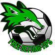 Programikonen: Sports Betting - Football…