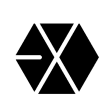 EXO Video Player