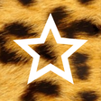 Icon of program: Animal Print Wallpapers