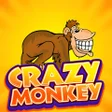 Ikon program: Crazy Monkey