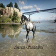 Icon of program: Red Dead Race Horses