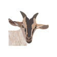 My Goat Manager - Farming app
