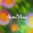 Icona del programma: Electric Picnic