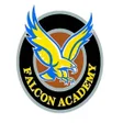 Programikonen: Falcon Academy