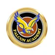 أيقونة البرنامج: Falcon Academy