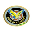 ไอคอนของโปรแกรม: Falcon Academy