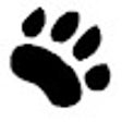 NetGoLynx icon