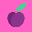 程序图标：Plum VPN
