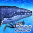 رمز البرنامج: Diving Simulator 2020