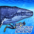 رمز البرنامج: Diving Simulator 2020