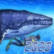Diving Simulator 2020