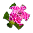 プログラムのアイコン：Flower Jigsaw Puzzles