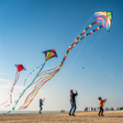 程序图标：Kite Flying Games Kite Si…