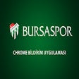 Ikon program: Bursaspor