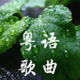 プログラムのアイコン:经典粤语歌曲500首CD音质