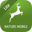 Programikonen: Wilde Tiere und Spuren 2 …
