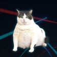 Icoon van programma: CatPaint