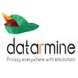 Icon of program: Datarmine, Privacy everyw…