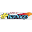 ไอคอนของโปรแกรม: Apache Hadoop YARN
