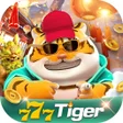 Icoon van programma: Tiger Play NumSharp