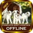 Complete goat livestock