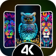 ไอคอนของโปรแกรม: Black Wallpaper HD Backgr…