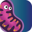 Infinite Evolution icon