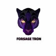 プログラムのアイコン：Forsage Tron