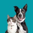 Icon of program: Maddies Pet Assistant