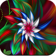أيقونة البرنامج: 3D Flower Wallpaper