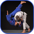 Ícone do programa: Judo in brief