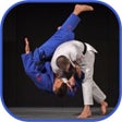 程序图标：Judo in brief