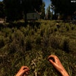 Icon of program: OCB Pretty Grass (A20)