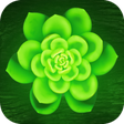 Programikonen: Green Wallpaper HD