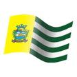 程序图标：Saúde Aparecida